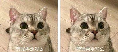 国产高清爽推理片2024,揭秘迷雾重重，探寻真相之旅